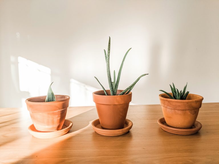 clean terracotta pots