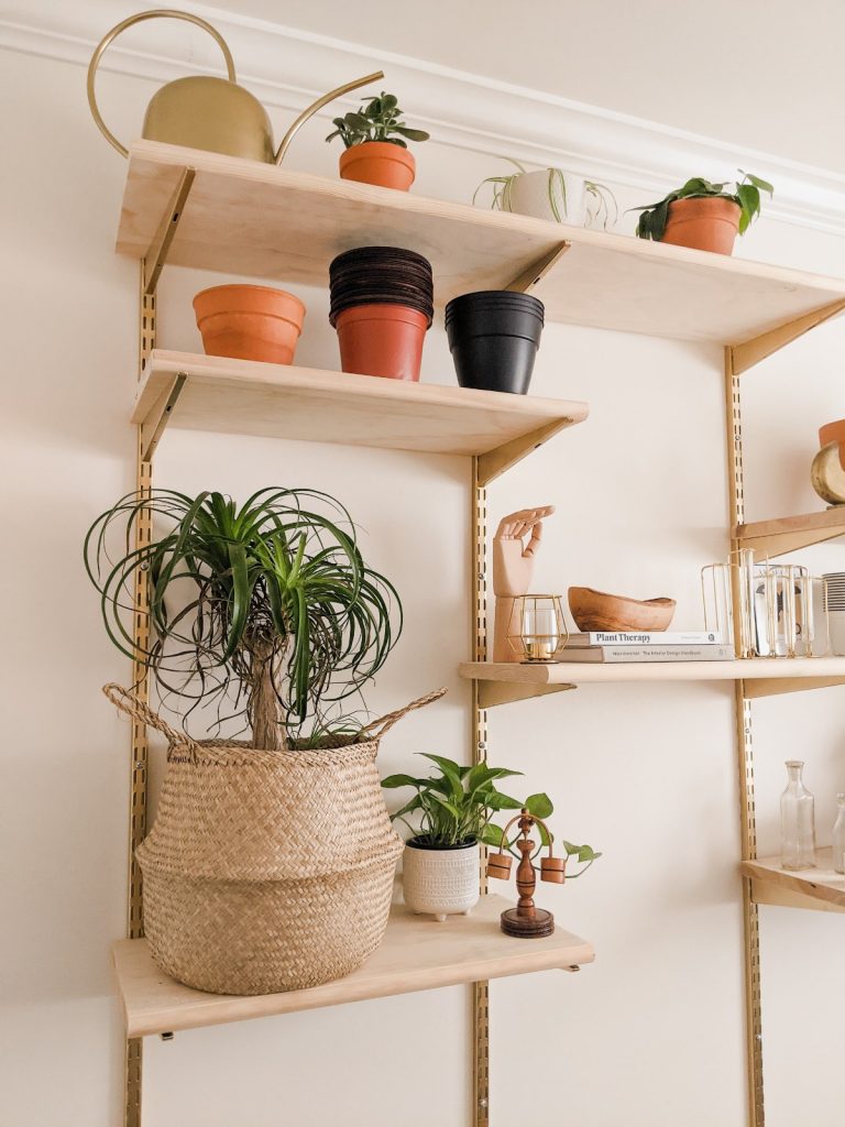 mid-century shelving unit in office with plants