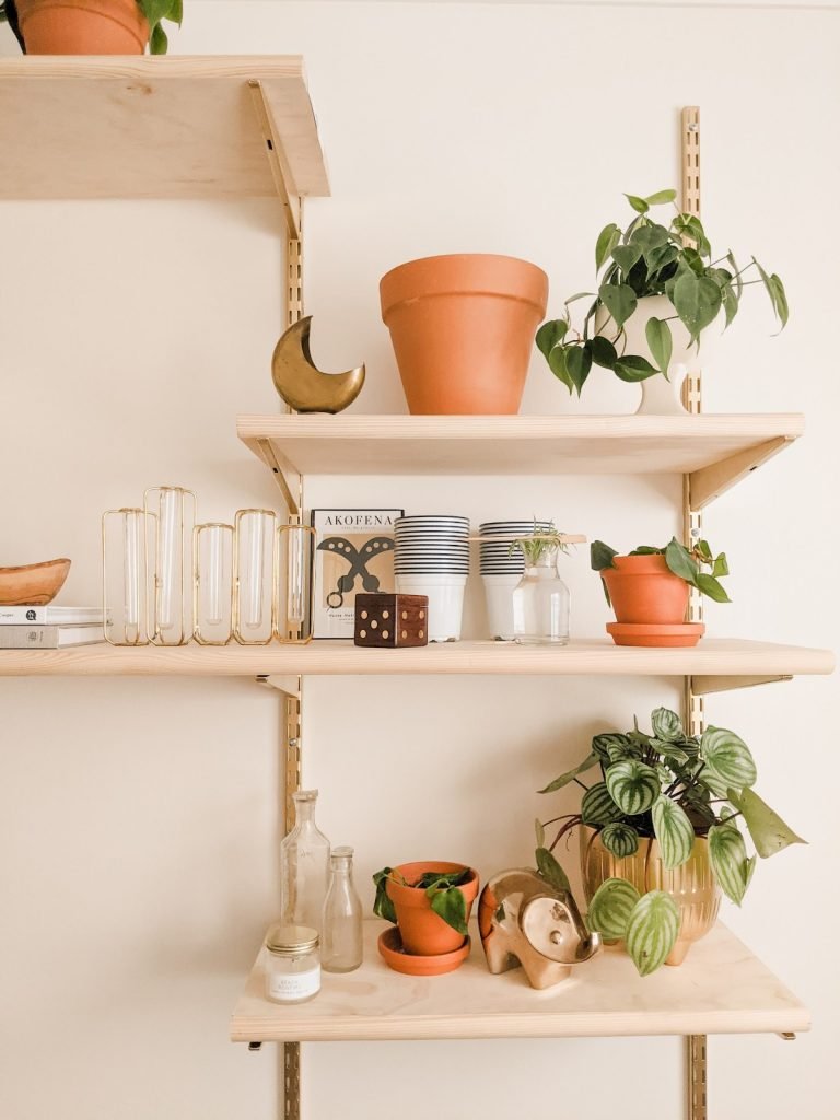 mid century shelf boho chic with plants